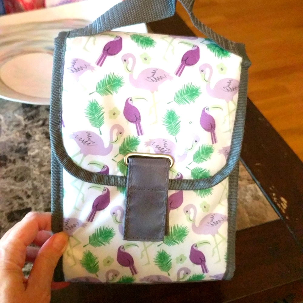 NWOT Fit + Fresh lunchbox